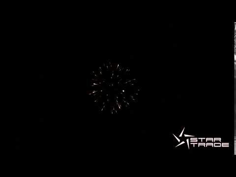 2,5" Purple with Silver Coco Pistil