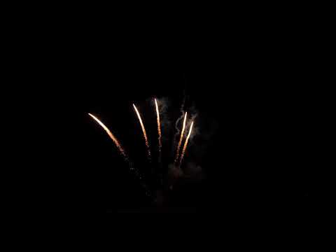 Single Shot - 38mm - Golden Ti Willow Tail