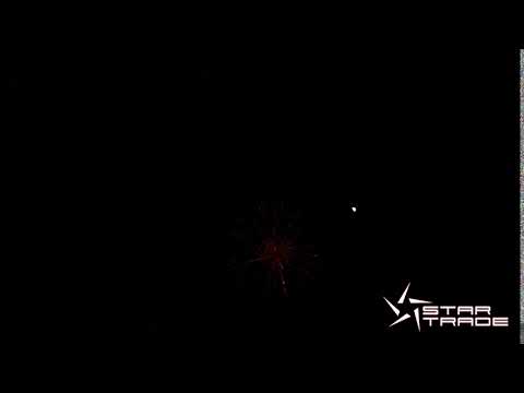 3" Purple Chrysanthemum to White