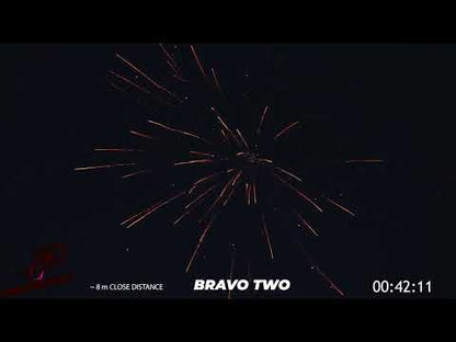 25 Schuss - BRAVO TWO